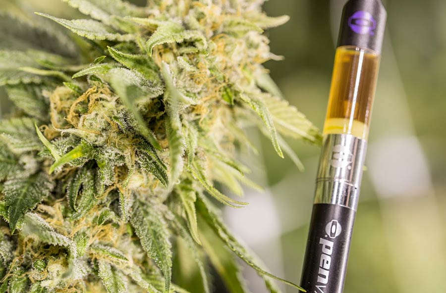 The Benefits of Vaporizing Cannabis
